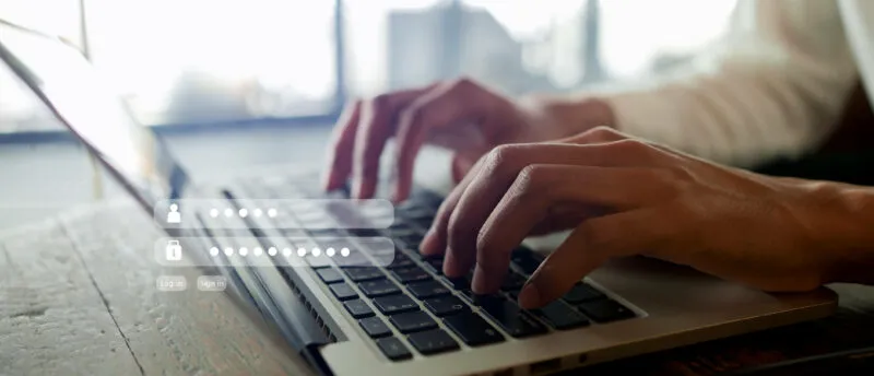 website developer matakana warkworth designer security hosting maintenance hacker free secure website